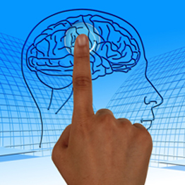 a finger pointing at a diagram of a brain