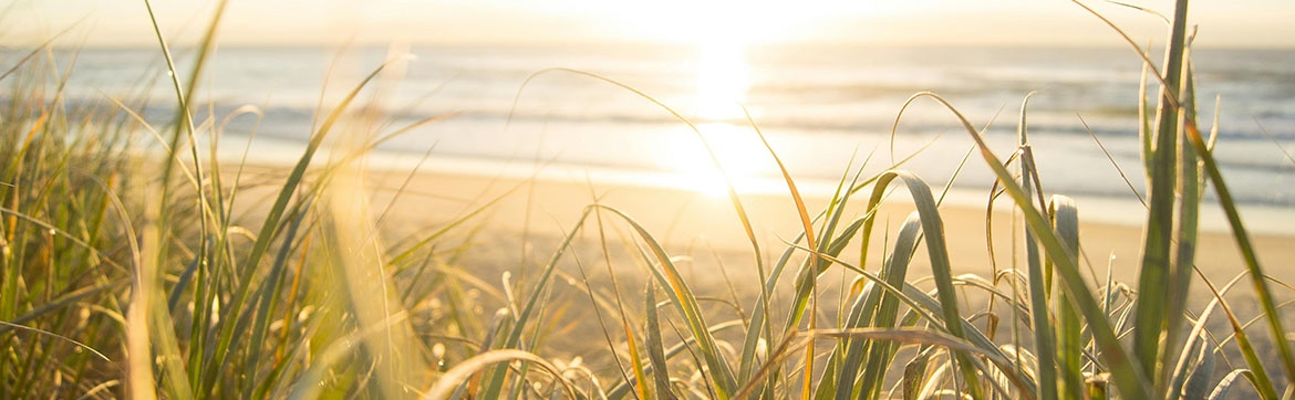 A sunny beach