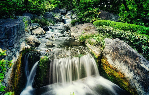 a flowing stream