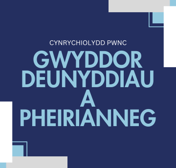 Cynrychiolydd pwnc Gwyddor Deunyddiau a Pheirianneg