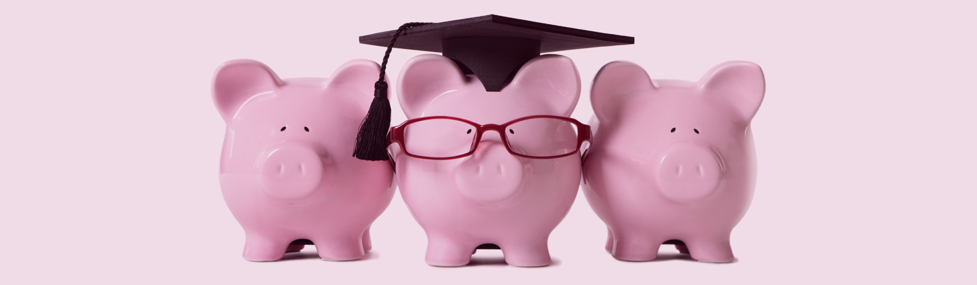 Row of pink piggy banks, one wearing glasses and academic cap