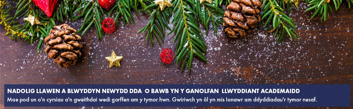 NADOLIG LLAWEN A BLWYDDYN NEWYDD DDA O BAWB YN Y GANOLFAN LLWYDDIANT ACADEMAIDD
Mae pod un o'n cyrsiau a'n gweithdai wedi gorffen am y tymor hwn. Gwiriwch yn ôl yn mis Ionawr am ddyddiadau'r tymor nesaf.