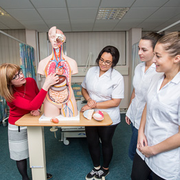 Nursing students looking at an anatomy model