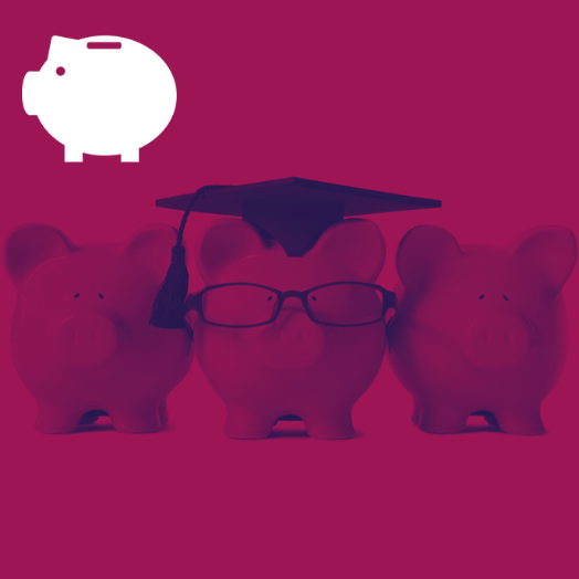 Finance piggy bank icon