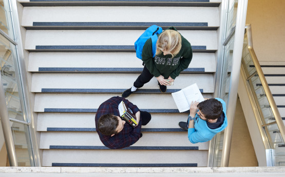Students standing on a flight of stairs talking. 