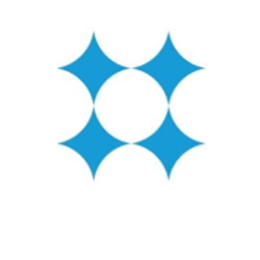 NVivo logo