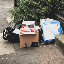 Rubbish and recycling awaiting collection on pavement