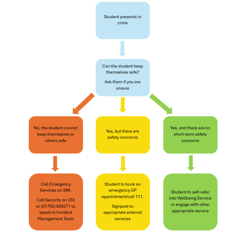 Flow chart showing the process of Establishing Risk/Vulnerability in Students in Crisis. The flowchart contains the same steps as detailed in Appendix A, Section 4 of the Student Mental Health Policy.