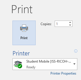 Document print menu
